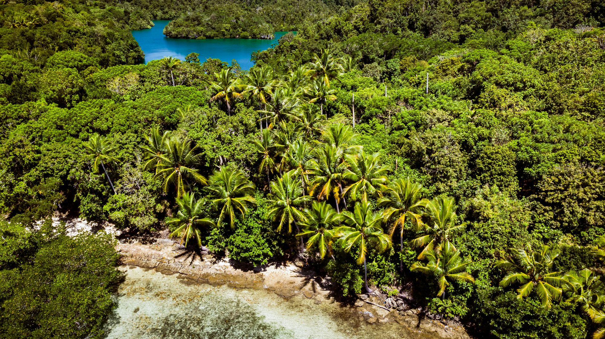 Gam - Raja Ampat