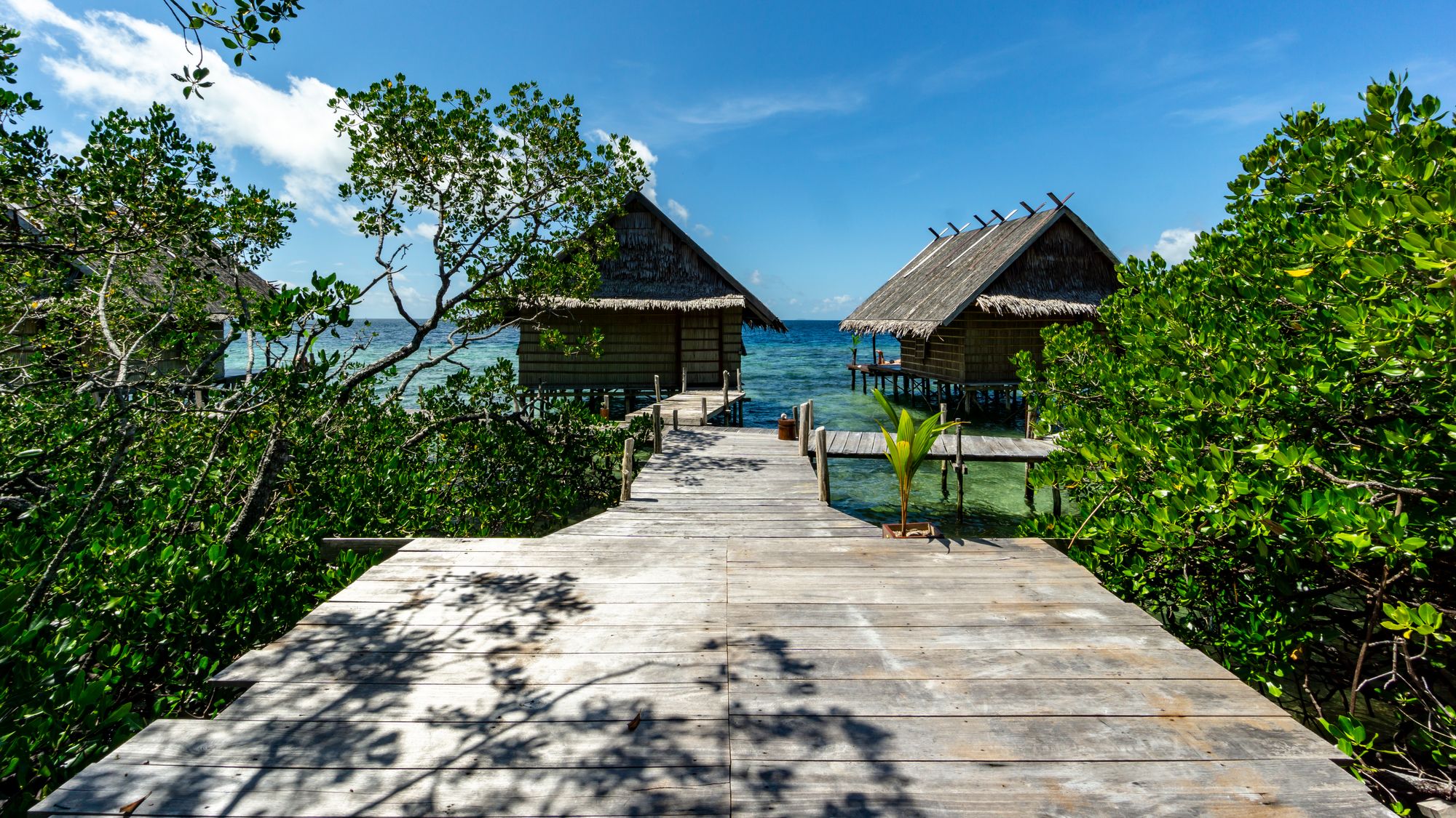 Gam - Raja Ampat