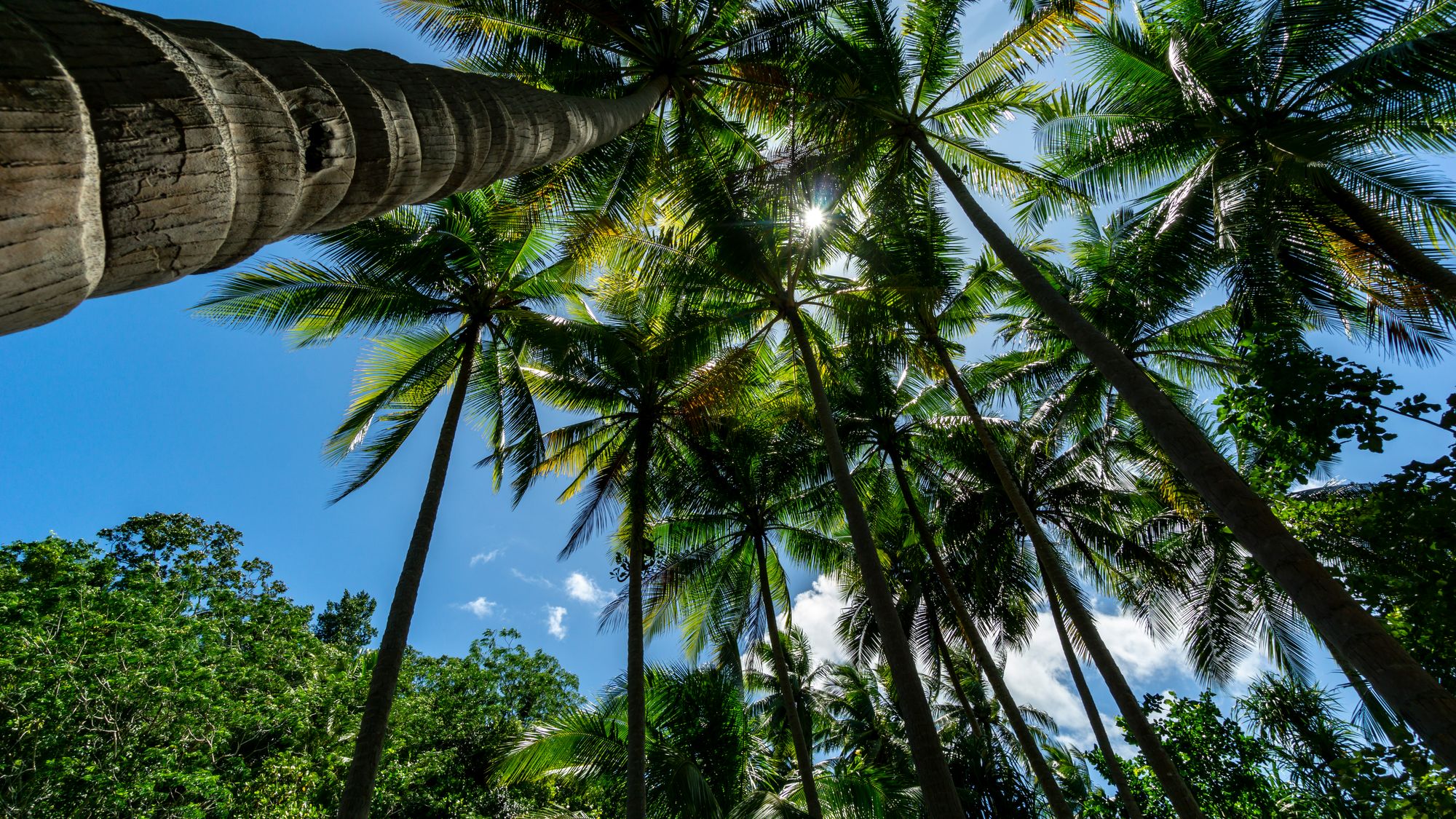 Gam - Raja Ampat