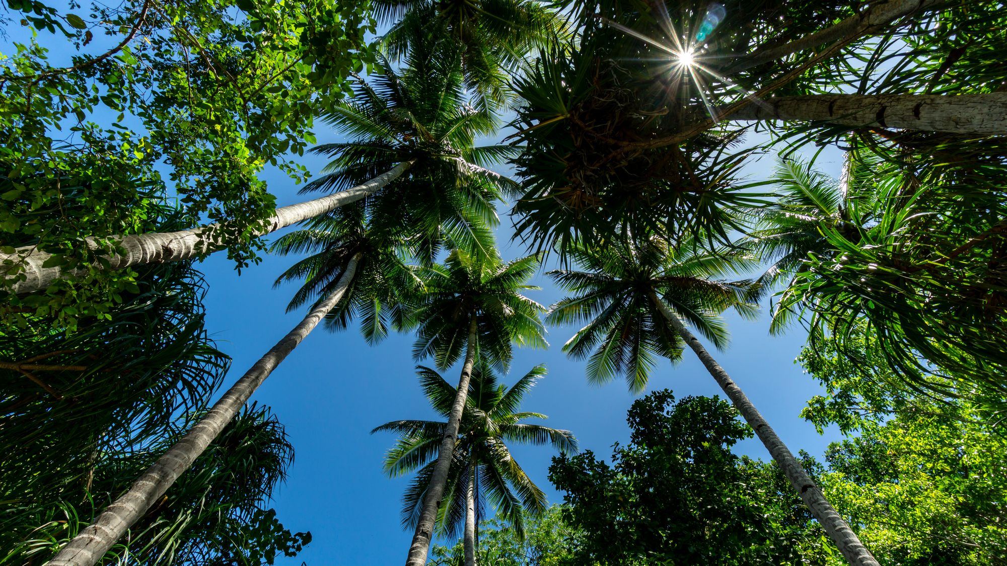 Gam - Raja Ampat