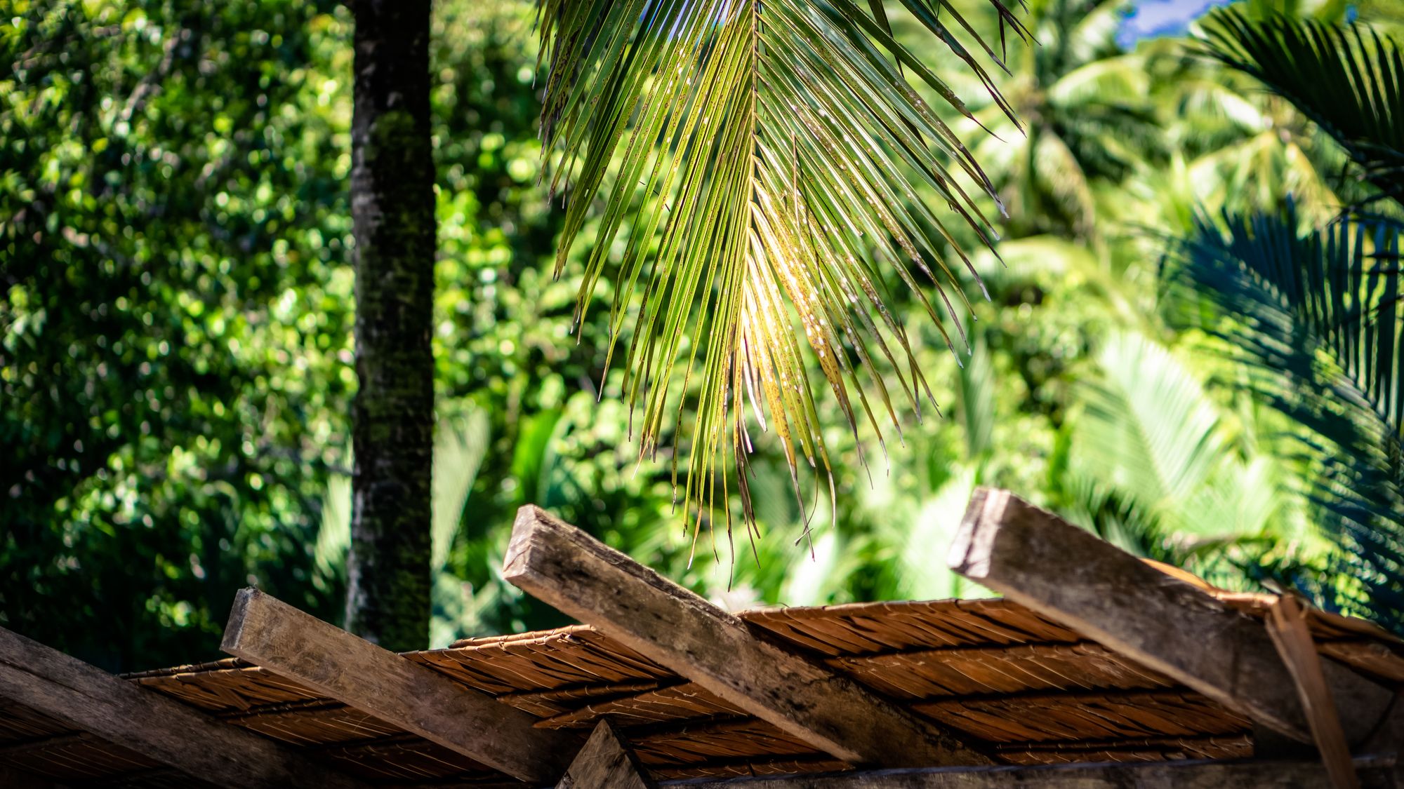 Gam - Raja Ampat