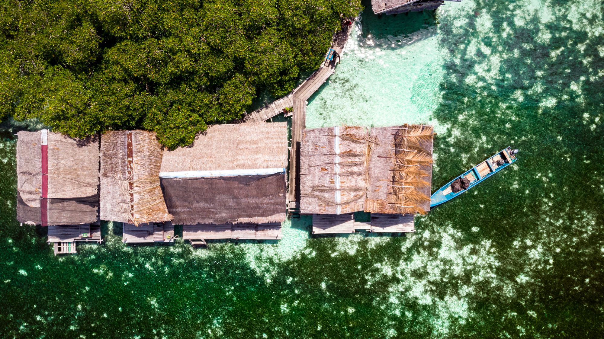 Arborek - Raja Ampat