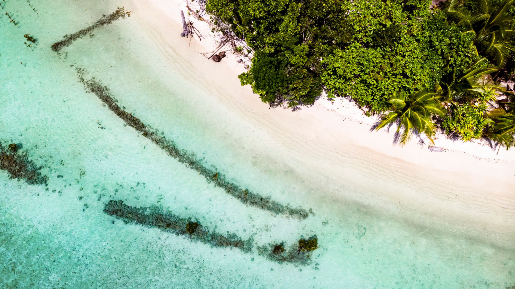 Arborek - Raja Ampat