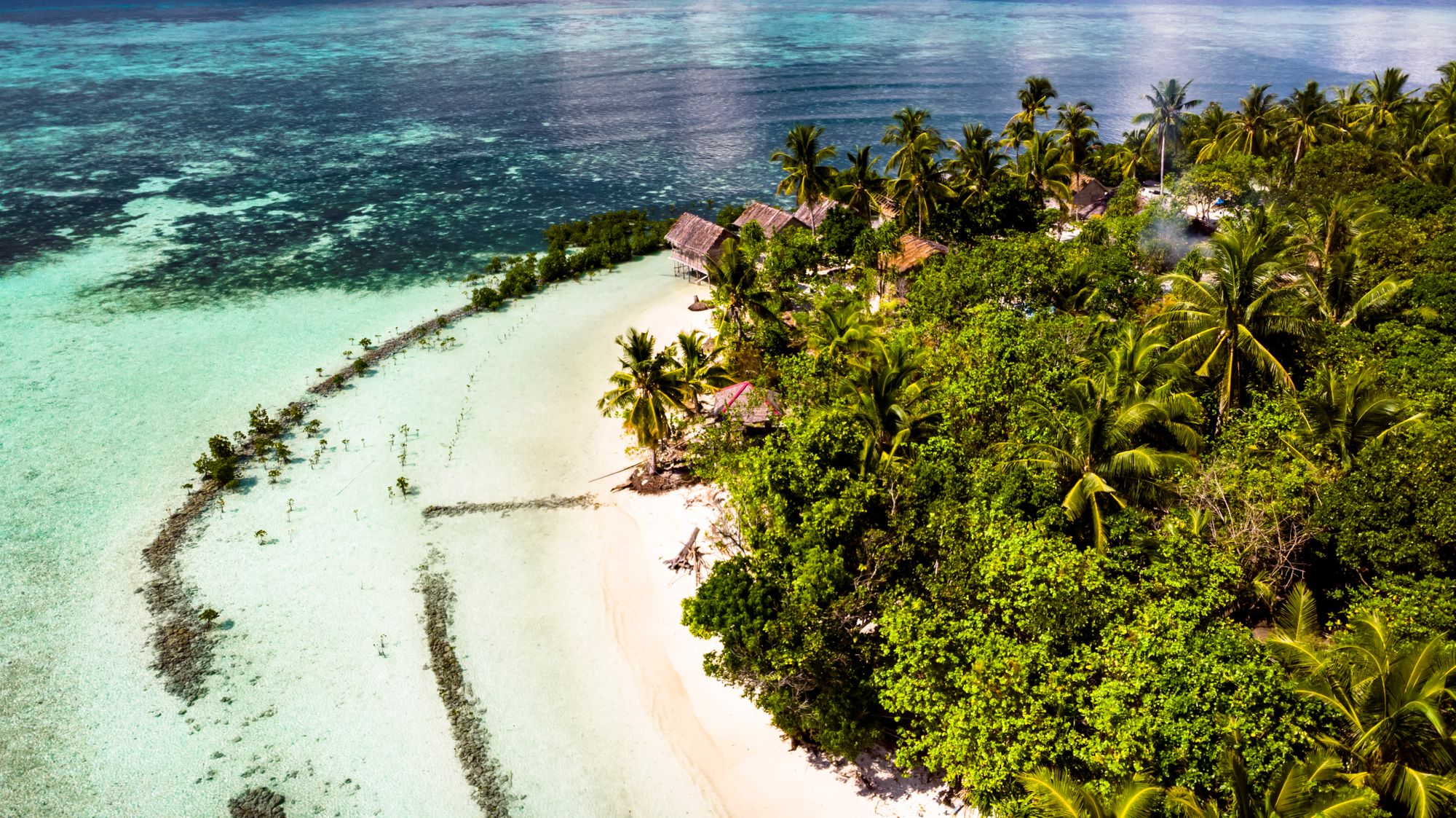 Arborek - Raja Ampat