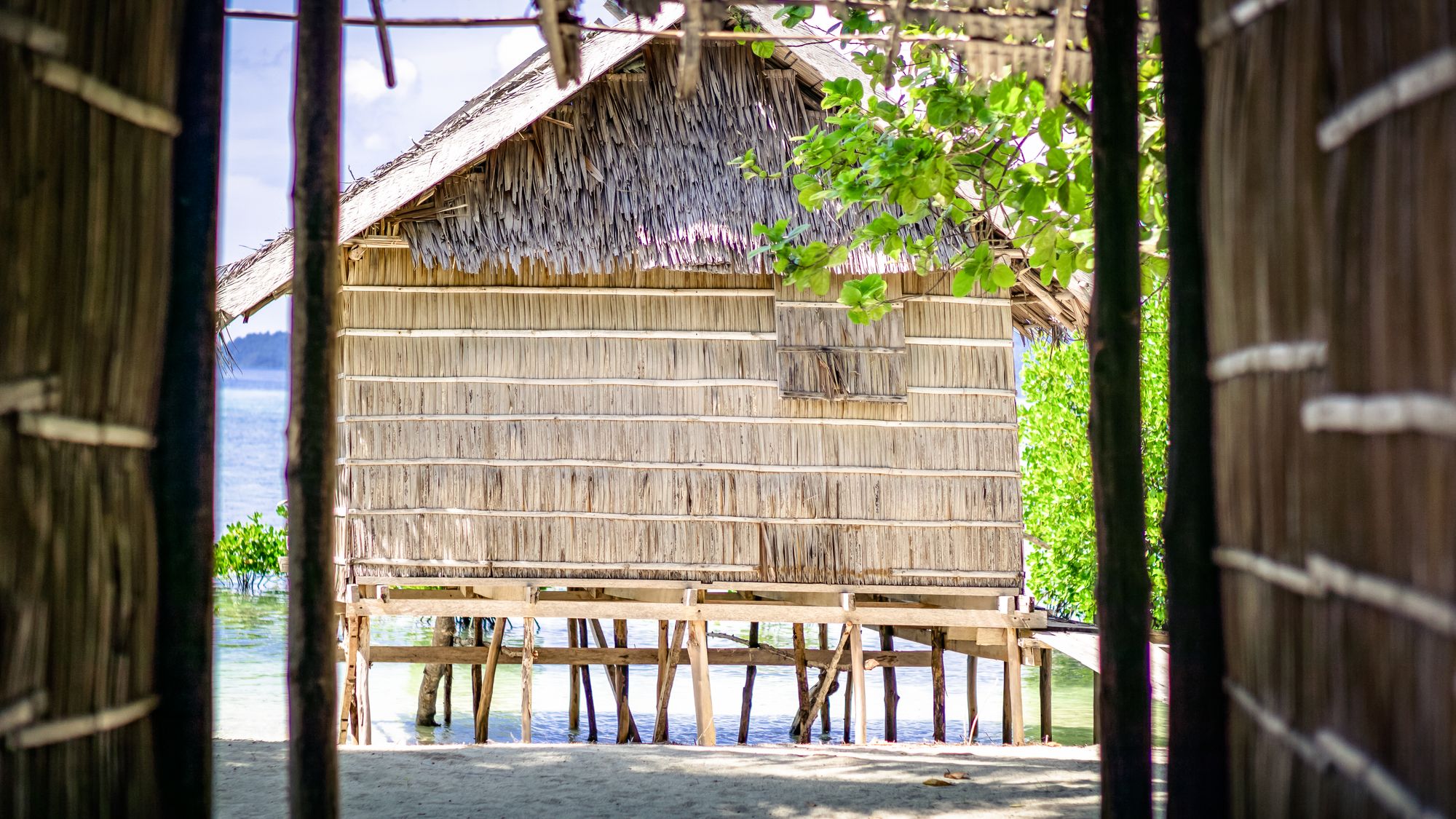 Arborek - Raja Ampat