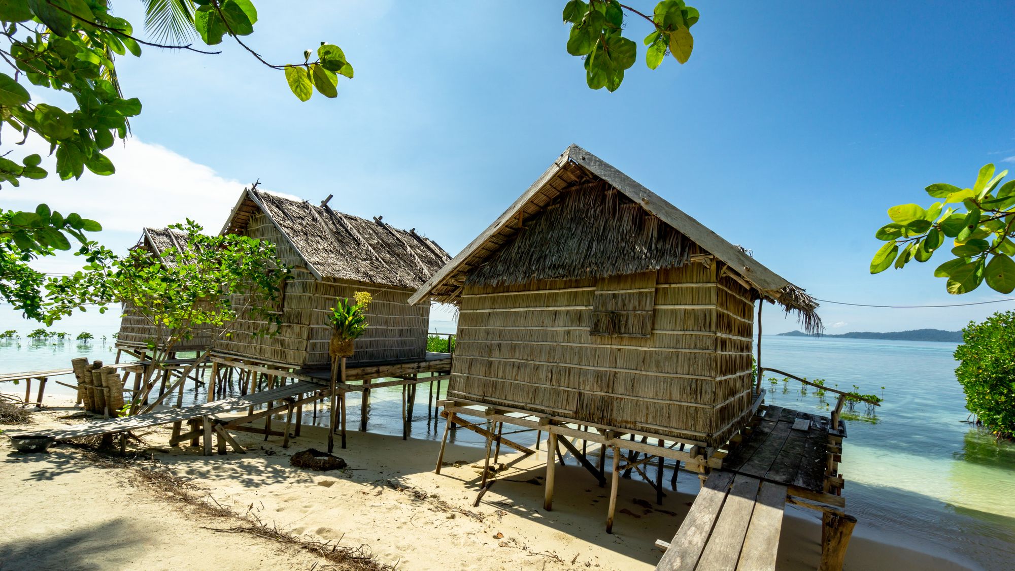 Arborek - Raja Ampat