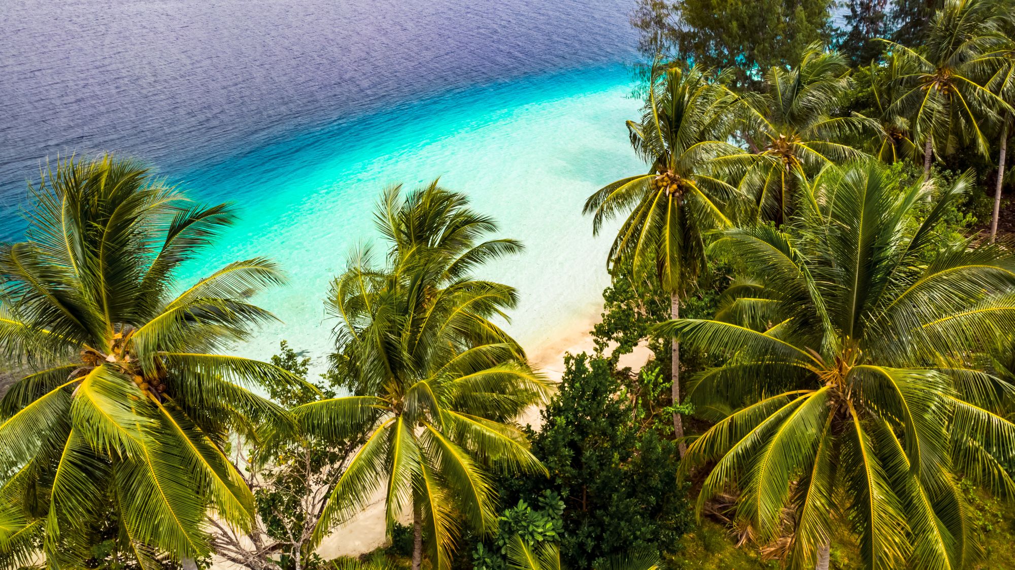 Yef Kabu - Raja Ampat